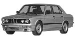 BMW E28 U1274 Fault Code