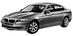 BMW F10 U1274 Fault Code